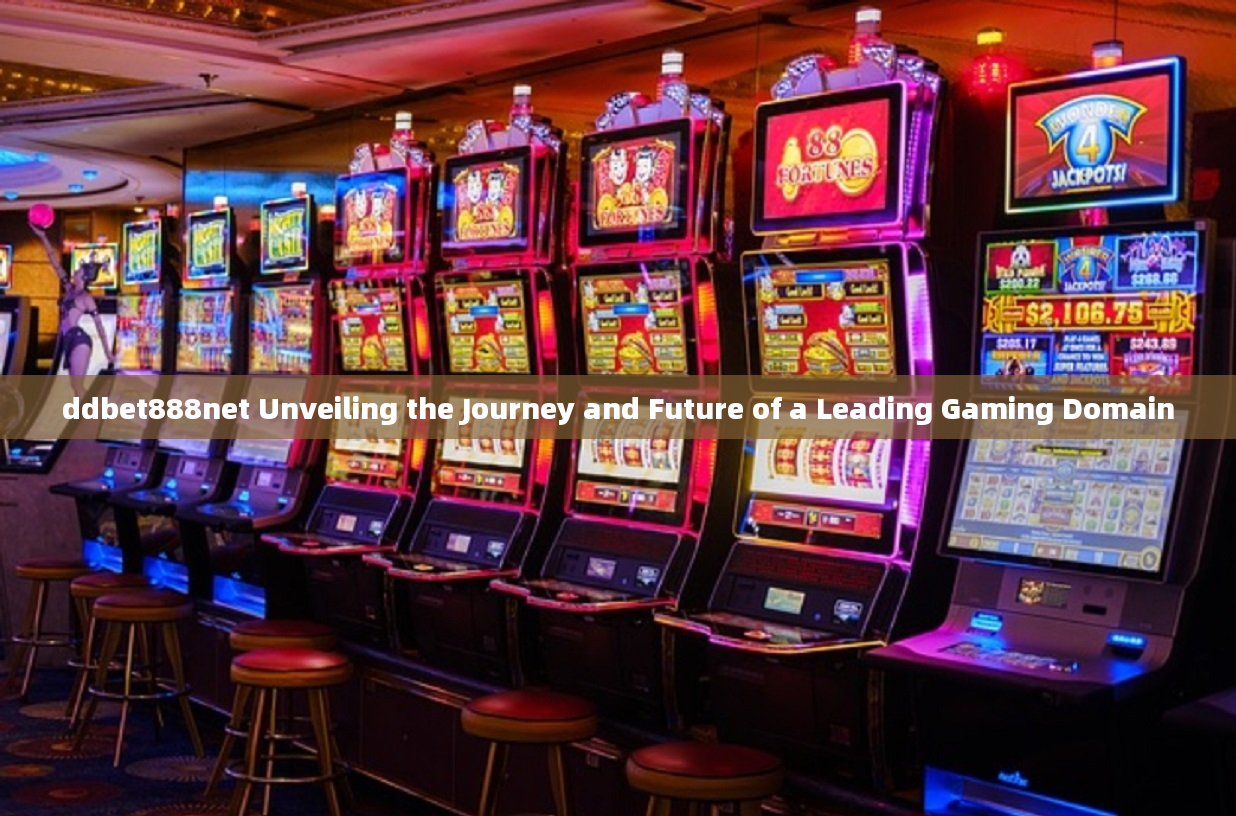 ddbet888net Unveiling the Journey and Future of a Leading Gaming Domain