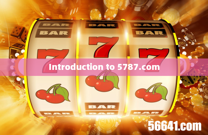 Introduction to 5787.com